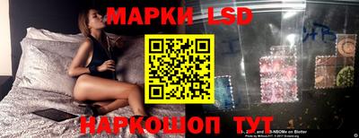 Альфа ПВП Гатчина