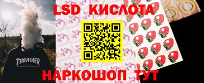 Альфа ПВП Гатчина