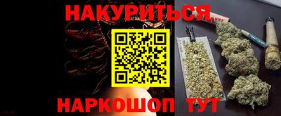 индика Гай