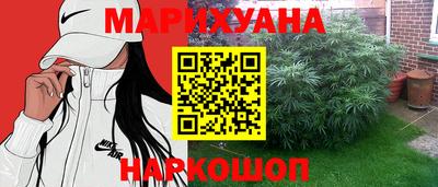 Альфа ПВП Гатчина
