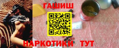индика Гай