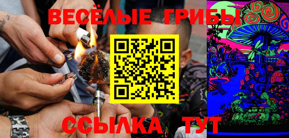 Москва  Псилоцибиновые грибы GOLDEN TEACHER  Вход с VPN  Псилоцибиновые грибы Psilocybine cubensis 